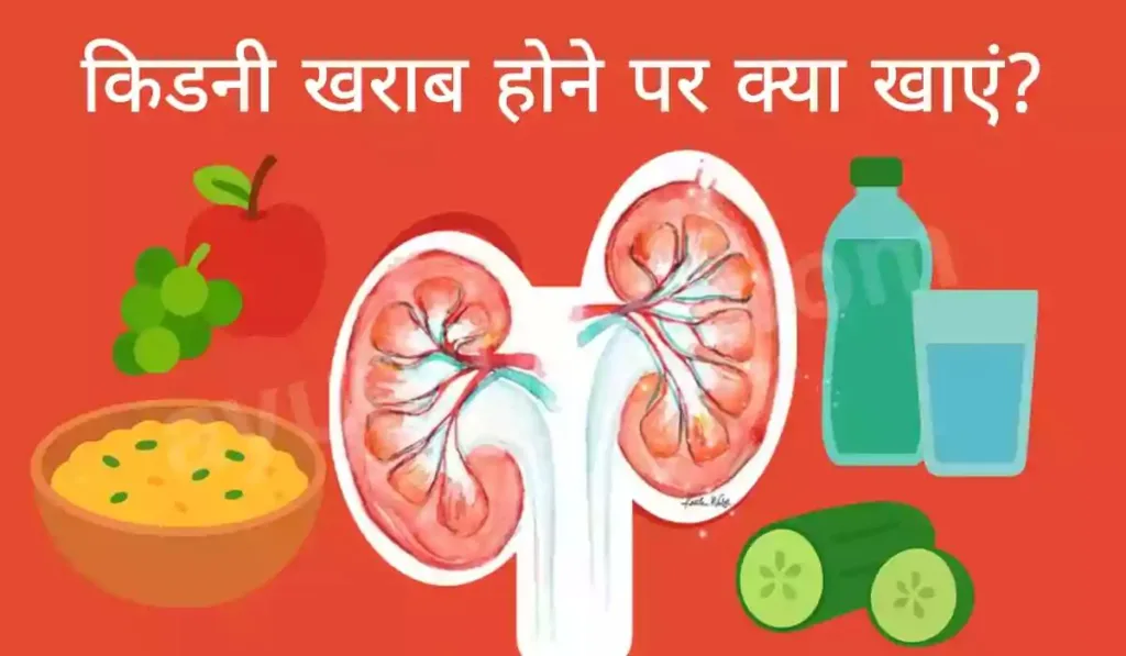 किडनी खराब होने पर क्या खाएं? सेब, अंगूर, खिचड़ी, खीरा और पानी के साथ किडनी डाइट का चित्र।